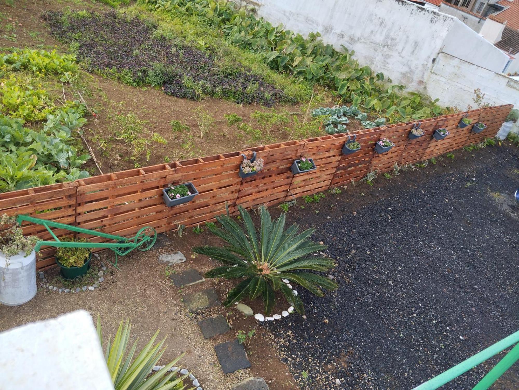 Casa Do Lavrador Holiday home Ponta Delgada (Sao Miguel)